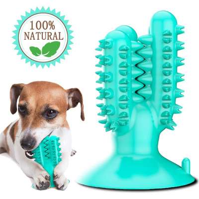 2020 Hot sell Natural Toothbrush  Cleaning Tool Dog Pet molars pet dog chew toy